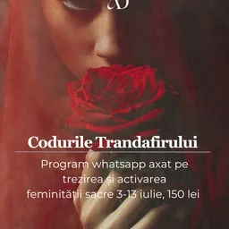 Codurile Trandafirului